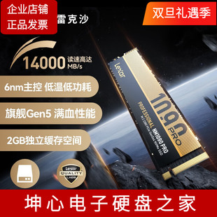 PCIe5.0台式 机笔记本电脑固态M.2硬盘 雷克沙国行NM1090Pro