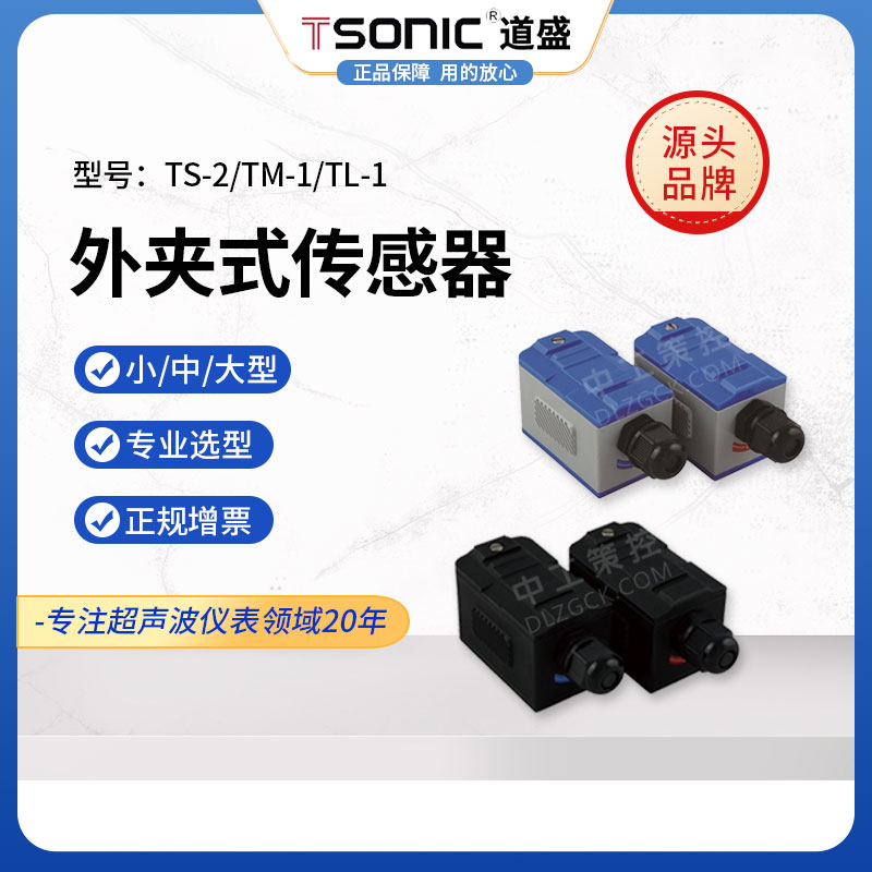 道盛外夹式固定式感测器TM-1标准/高温大/中/TS-2小型监视器流量