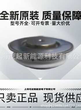 N0491WC080 N0491WC060 N0491WC040 N0491WC020 西玛可控硅