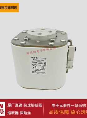 熔断器170M7239 170M7240 170M7241 170M7242 170M7244 170M7245
