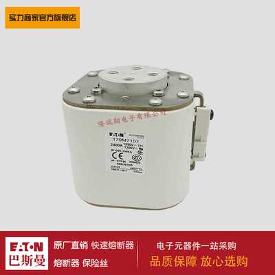 熔断器170M7239 170M7240 170M7241 170M7242 170M7244 170M7245