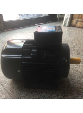 YSJ8024三相异步电动机/天/