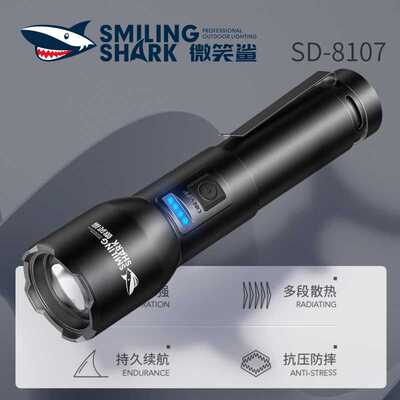 Large capacity range outdoor highlighted lighting torch