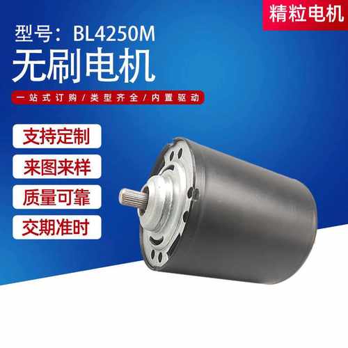BL4250M电动工具无刷电机 无刷直流抽水泵小电机 磨脚器电动马达