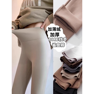 曲线主义薄绒芭比裤秋冬加绒加厚磨毛保暖瑜伽沙鲨鱼打底裤女外穿