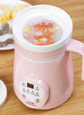 电炖锅煮粥锅一人食定时全自动预约熬粥锅小型顿汤盅陶瓷家用迷你