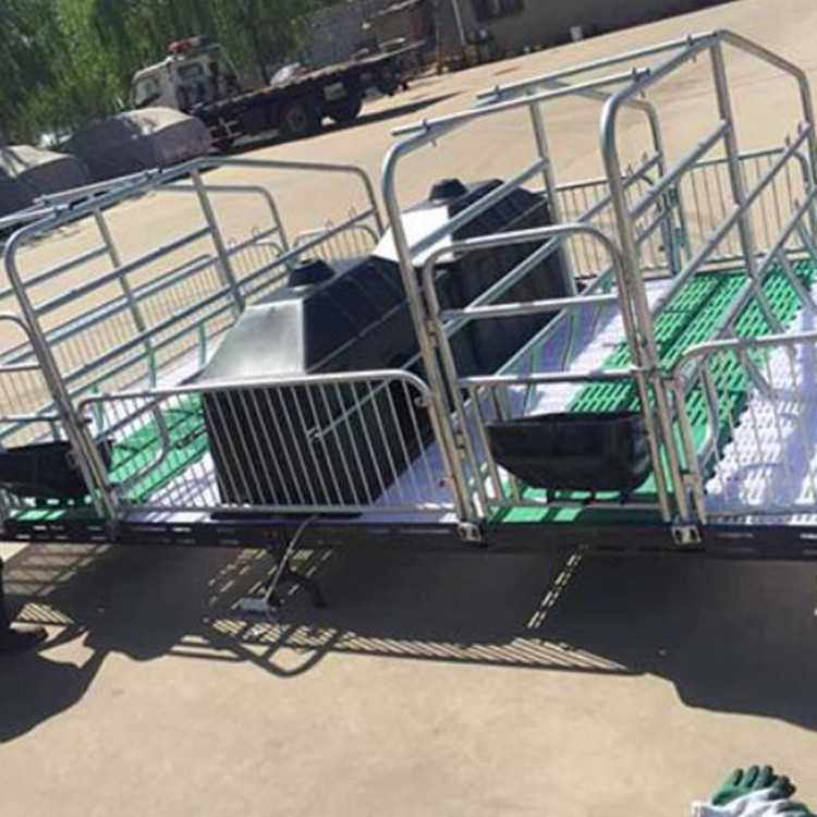 世昌母猪产床 复合产床 猪产床 猪用产床养殖设备