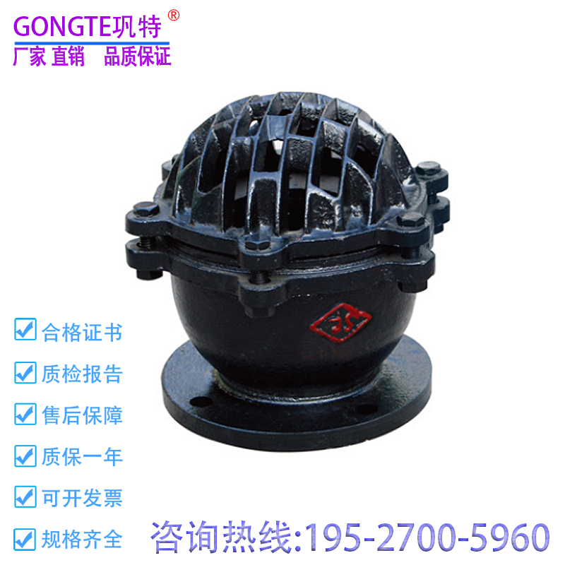 H42W法兰底阀井底吸水逆止单向阀升降式水泵止回阀莲蓬头DN65 150