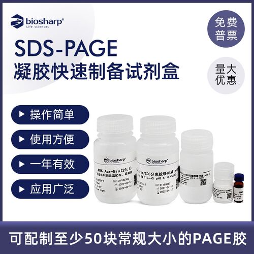 Biosharp 白鲨 SDS-PAGE凝胶快速制备试剂盒 BL522A 50T