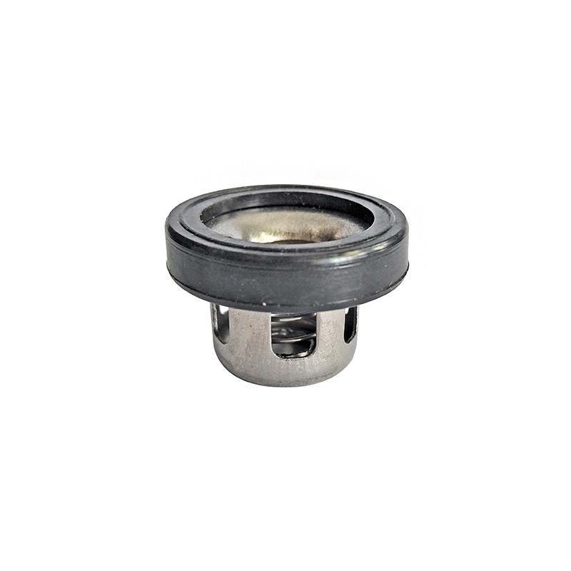 22 26型三缸柱塞泵28mm不锈钢阀门海顺W25物理泵止回阀不锈铁活门