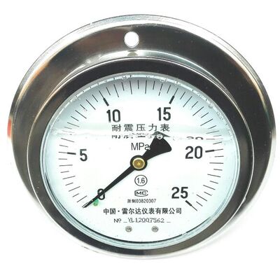轴向带边耐震压力表 雷尔达牌 直径100mm 压力25mpa YN-100ZT iv