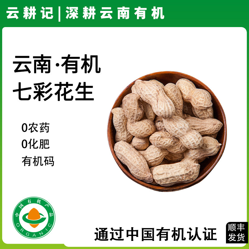 有机七彩花生云南高原种植新鲜