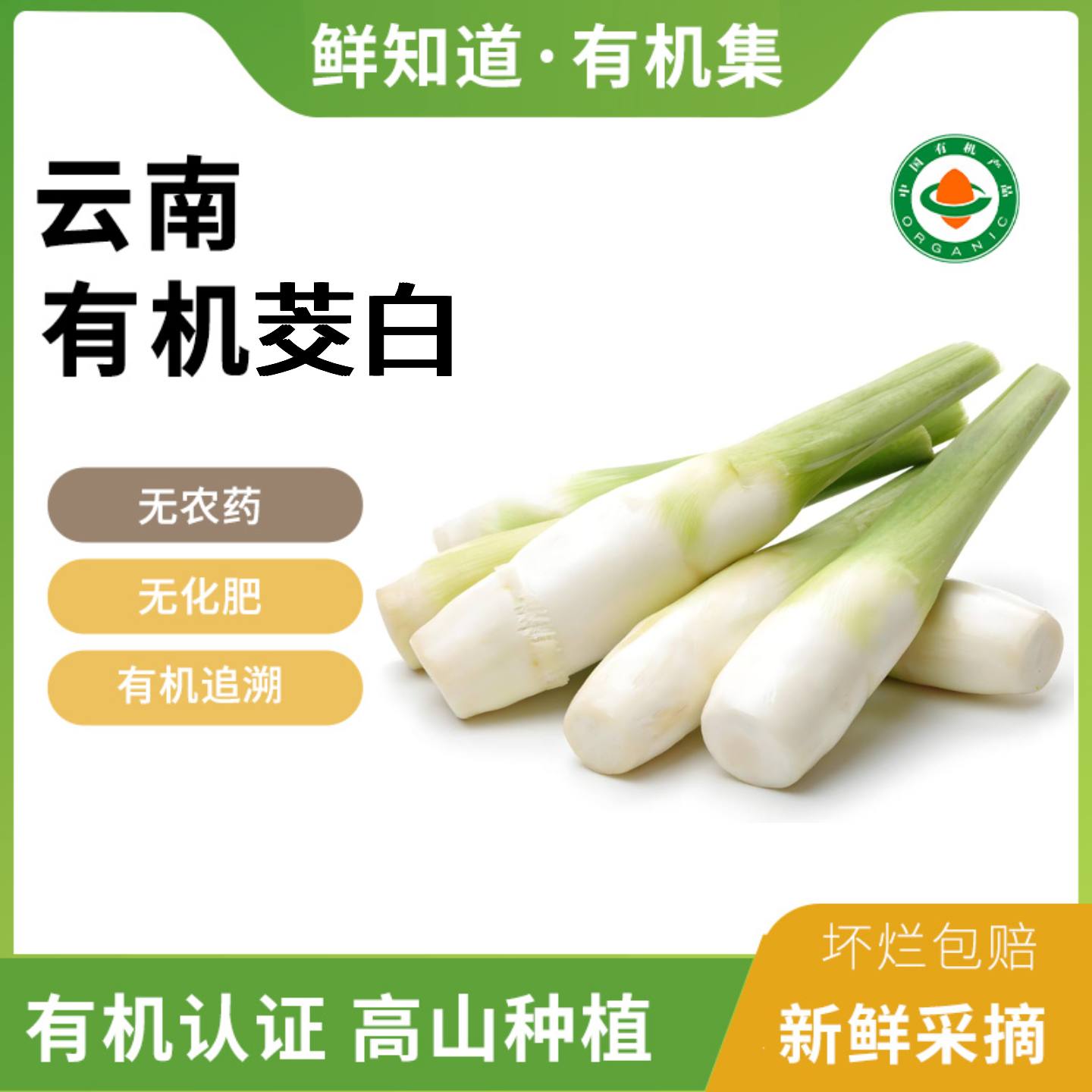 云南有机茭白新鲜现摘带壳茭瓜无农残茭笋高原种植健康时令蔬菜