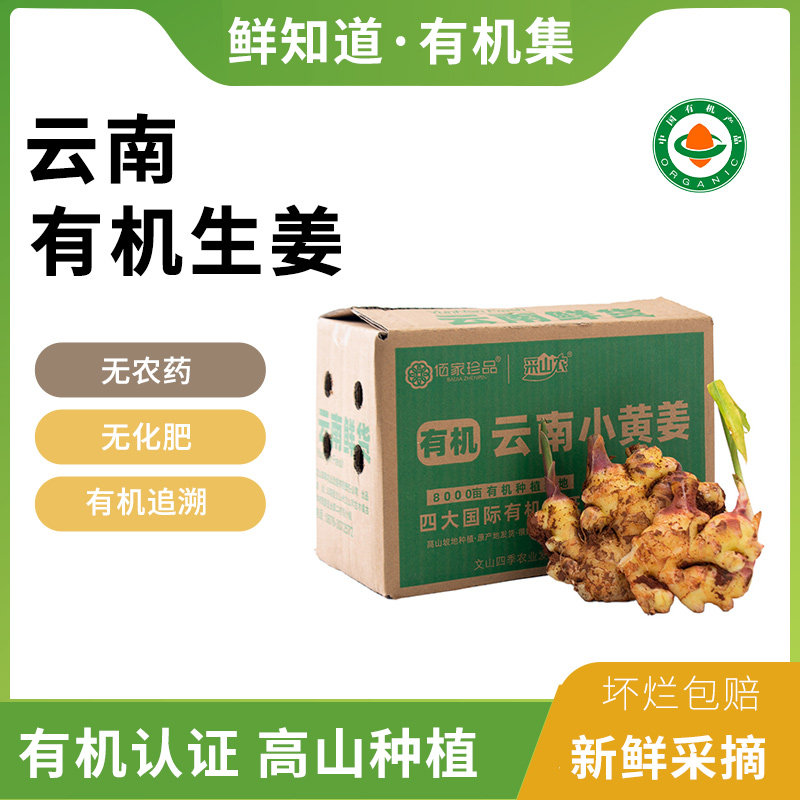 云南有机小黄姜新鲜现挖姜香浓郁