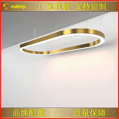 commerical fixture light customized ring cirele round light