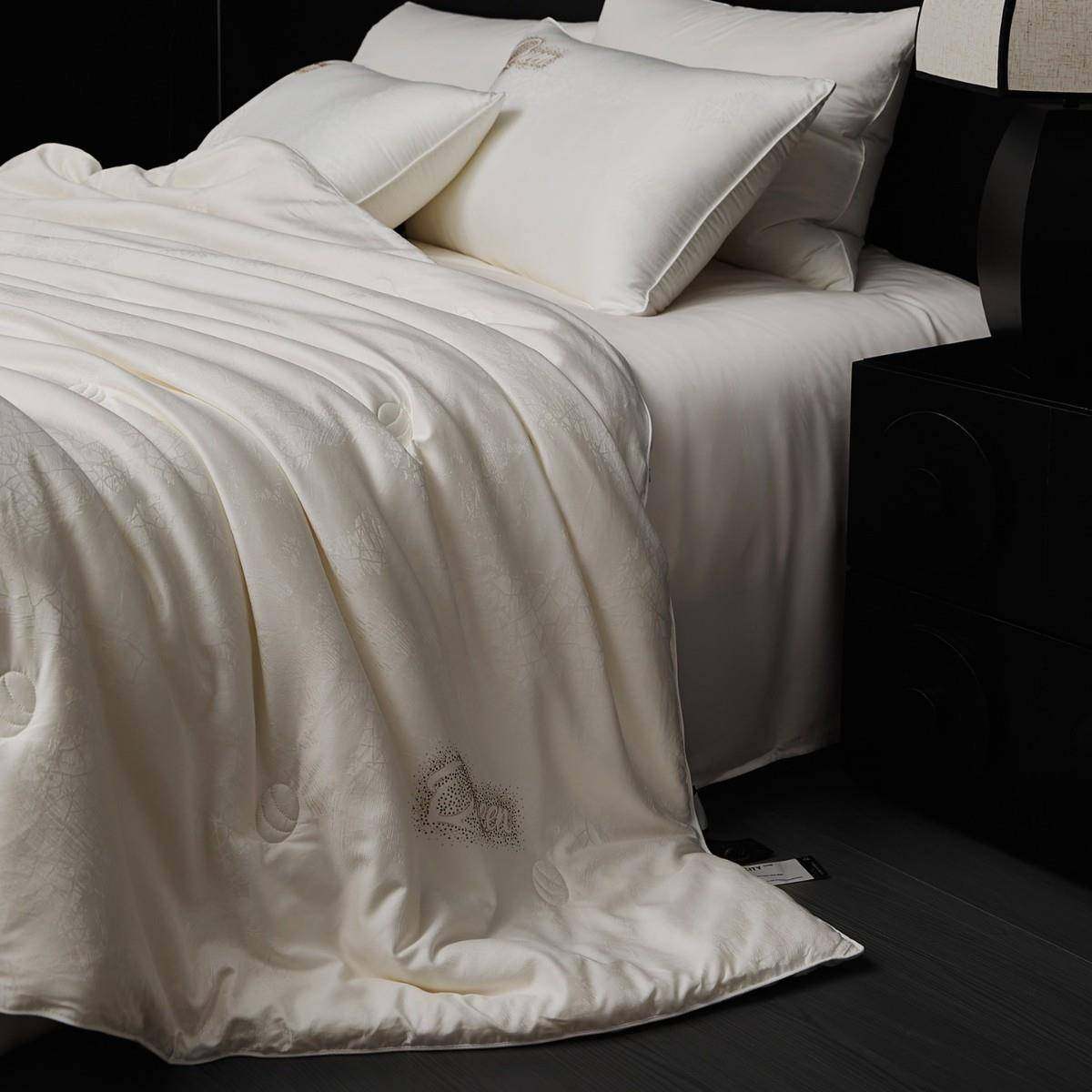 A类有机蚕丝被保暖蓬松春秋被冬被亲肤软糯丝滑夏被四季可用被芯