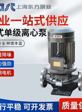 上海东方泵业离心泵管道泵增压泵 立式单级离心泵DFG100-250/2