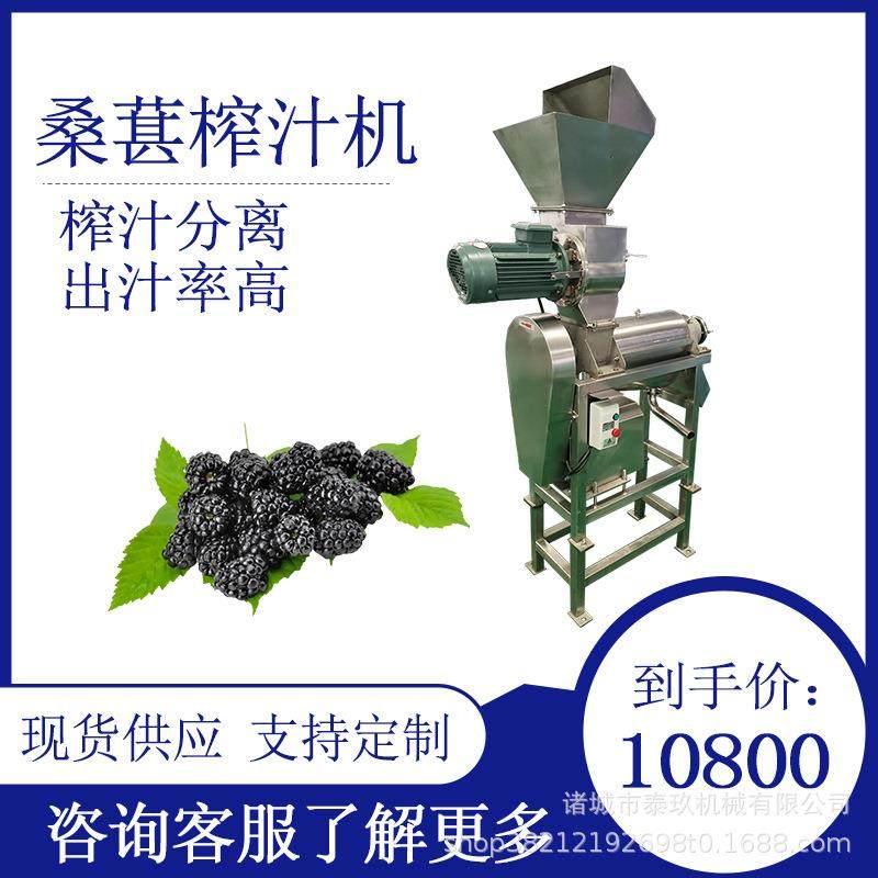 桑葚破碎榨汁机刺梨桑葚压榨机车厘子去核打浆机柠檬榨汁设备,厨房电器,其他商用厨电,淘宝优惠券,粉丝福利购,淘宝优惠卷