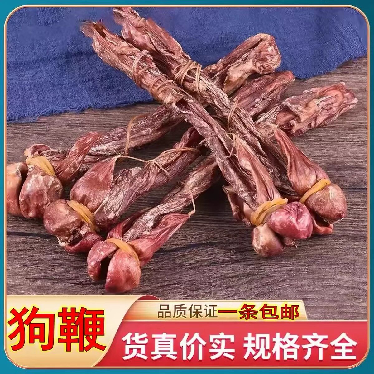 正宗海鞭狗王海鞭狗肾狗鞭原装中