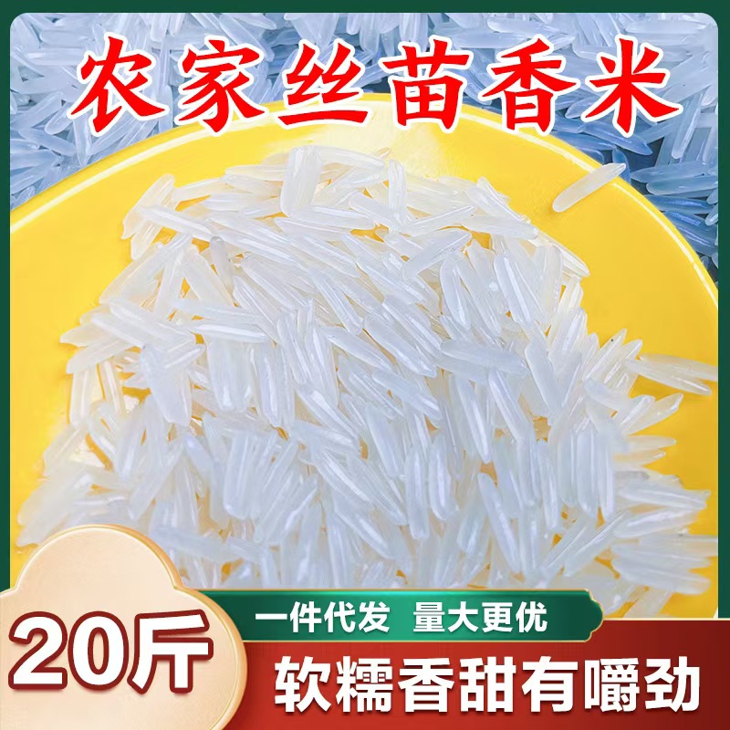 当季新米猫牙米10kg长粒香米