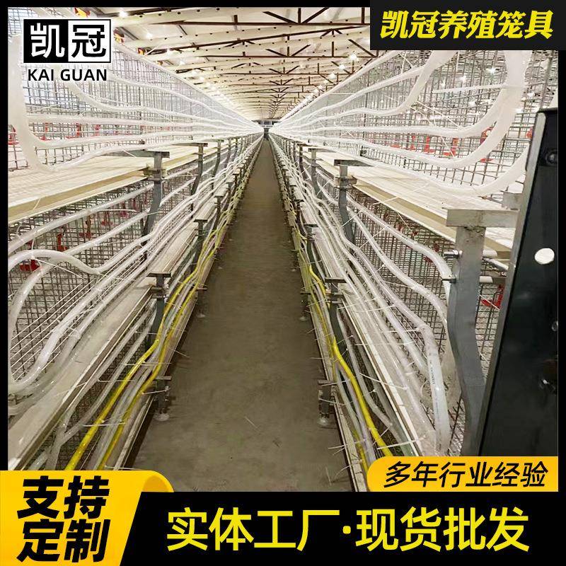 全套三层元宝型肉鸡笼全自动养鸡设备层叠式养殖鸡笼框架式肉鸡笼
