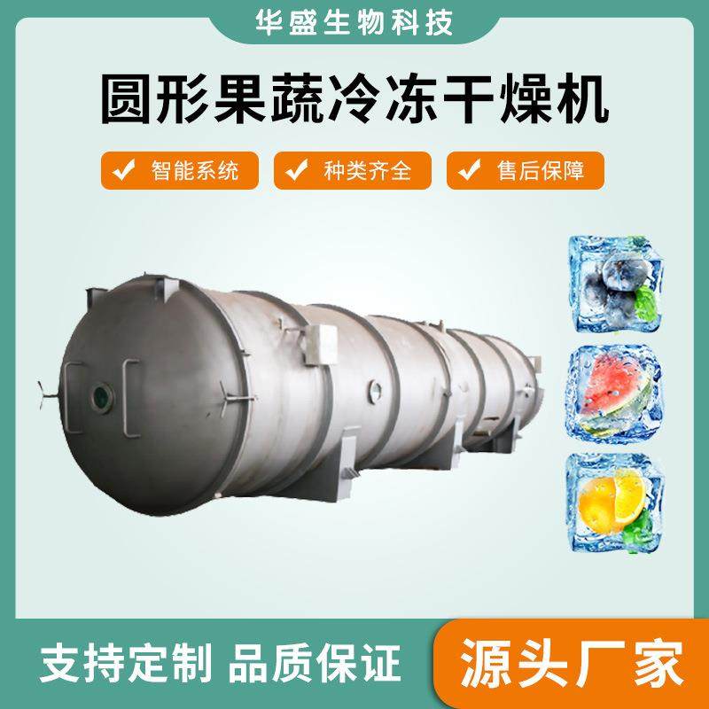 250平蔬菜水果冻干机山药玉米真空冷冻干燥机胡萝卜蘑菇冻干设备