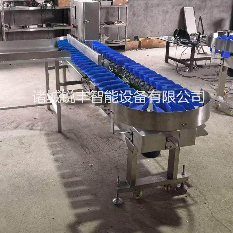 精度智能自动海参分拣机自动分级设备全自动海参加工流水线一拖二,五金/工具,其他包装设备,淘宝优惠券,粉丝福利购,淘宝优惠卷