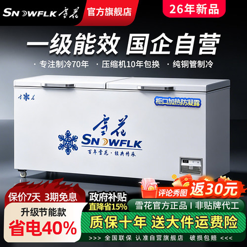 【国企旗舰店】冰柜商用冷冻柜