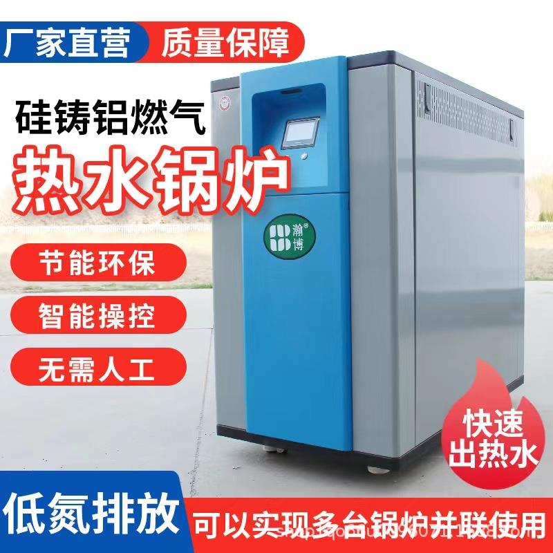 厂家直销硅铸铝热水锅炉环保节能支持国补免年检燃气蒸汽发生器