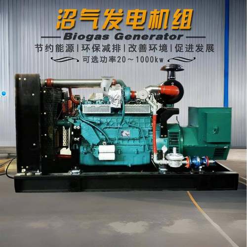 养殖场沼气发电机组150kw秸秆燃气100kw三相380v水冷生物质气甲烷