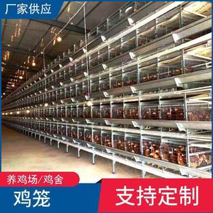 层叠蛋鸡笼全自动养鸡设备集蛋上料一体鸡厂鸡舍养殖用鸡笼