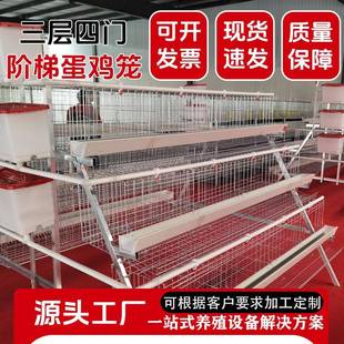 阶梯蛋鸡笼三层四门镀锌丝笼子层叠式养鸡养殖设备多层家用加密笼