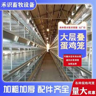 大层叠肉鸡笼养鸡设备加密加粗全自动化养殖笼具热镀锌蛋鸡笼设备