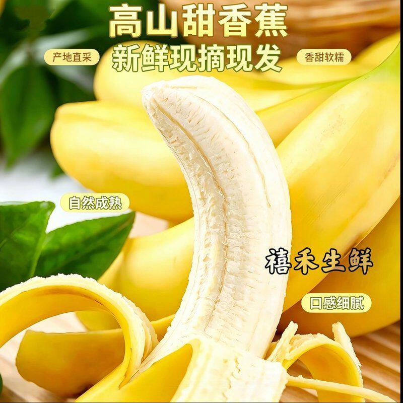 广西高山甜香蕉5斤/9斤正宗当季新鲜水果产地直发香甜软糯苹果蕉A