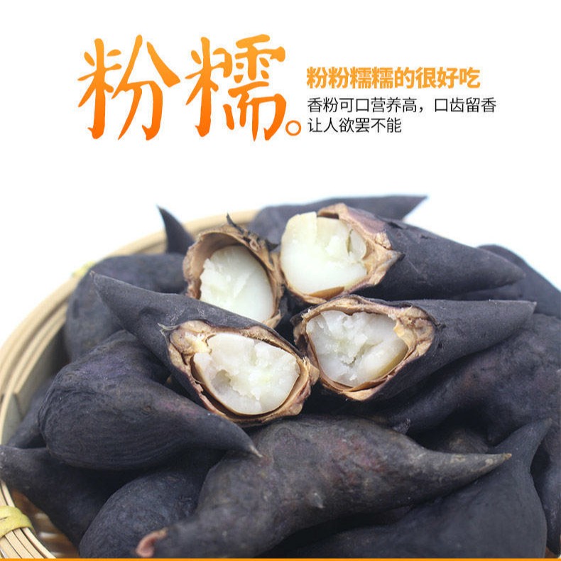 洪湖菱角新鲜老菱角湖北农家土特产粉糯生菱角凌角农家新鲜蔬菜