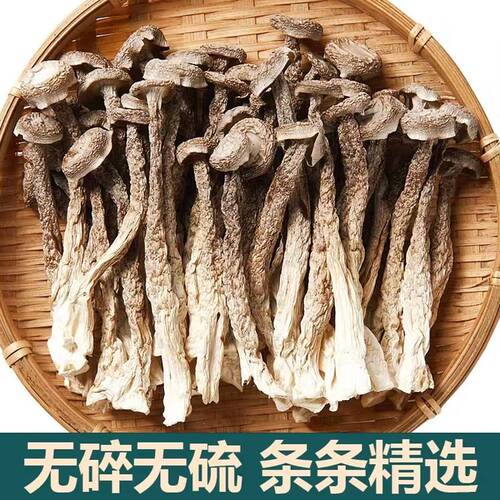 豪媳妇（新鲜鹿茸菇50g*10袋）（试吃2包）脆菇好吃营其他脱水蔬
