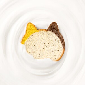 【云旗郝熠然代言】a1猫咪吐司小猫面包营早餐面包下午茶