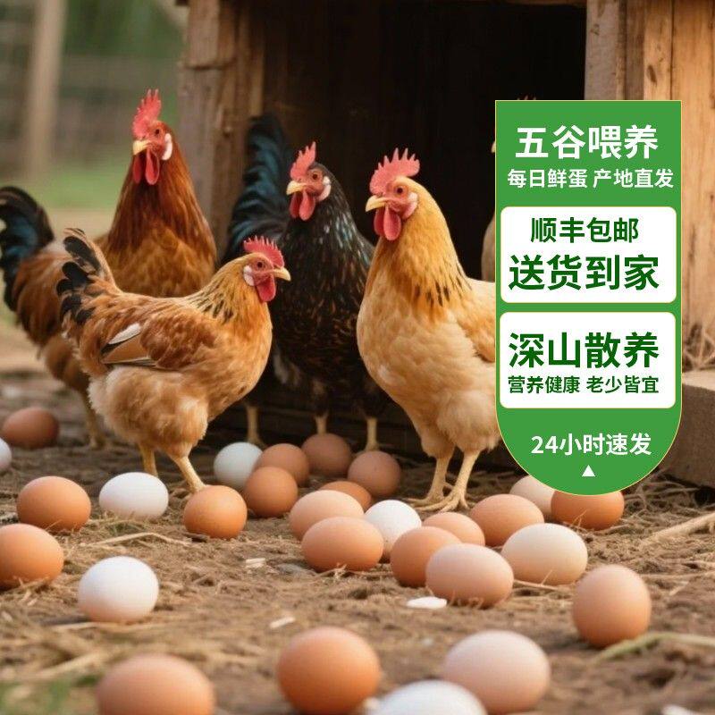 初生蛋春日小新开窝蛋新鲜宝宝爱吃康小颗营