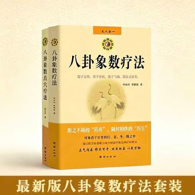 【可开票全新正版】最新版八卦象数疗法套装(全两册)——八卦象数疗法八卦象数点穴疗法李玉山9787802143395团结出版社