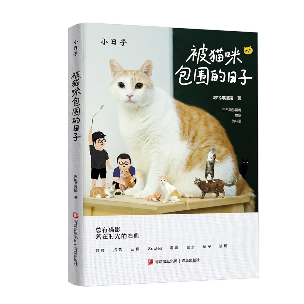 【可开票全新正版】被猫咪包围的日子 坐拥百万粉丝的猫咪届真网红“黄阿玛”和小伙伴的可爱日常 所有猫奴人手一本的“撸猫圣经”