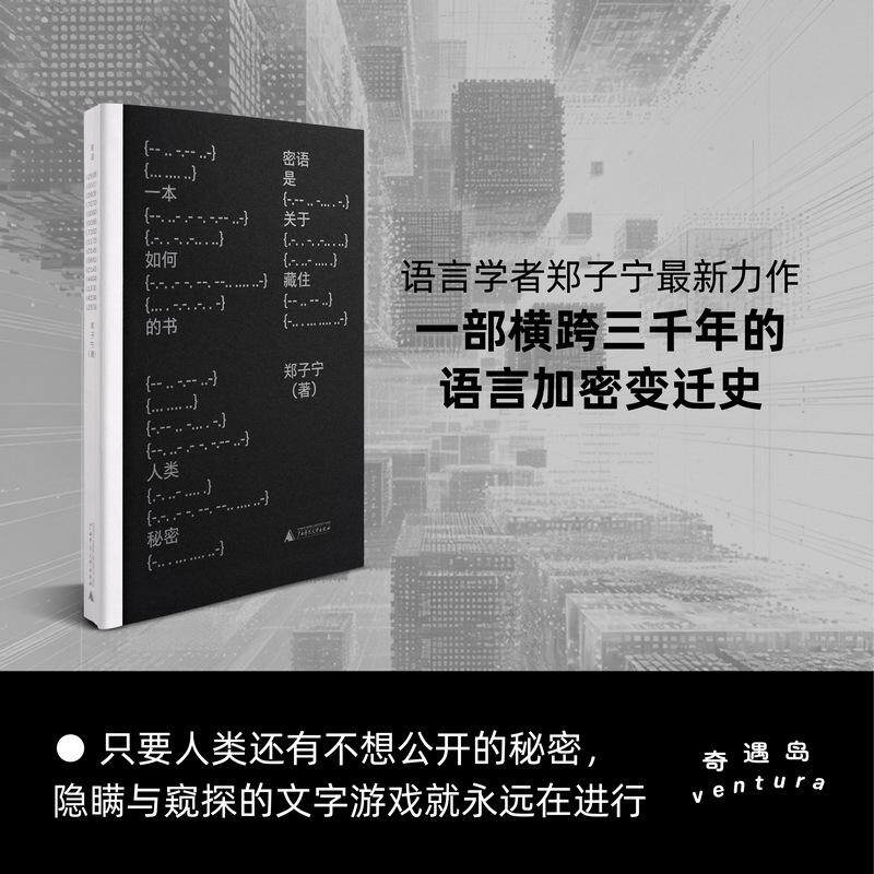 【可开票全新正版】密语 女书摩尔斯电码同担与本命郑子宁趣味开讲人类三千年语言加密史奇遇岛 当当自营 广西师范大学出版社郑子