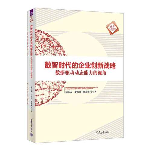 【可开票全新正版】数智时代的企业创新战略（数据驱动动态能力的视角）（清华汇智文库）9787302706373陈衍泰罗海贝郭彦琳等2026-