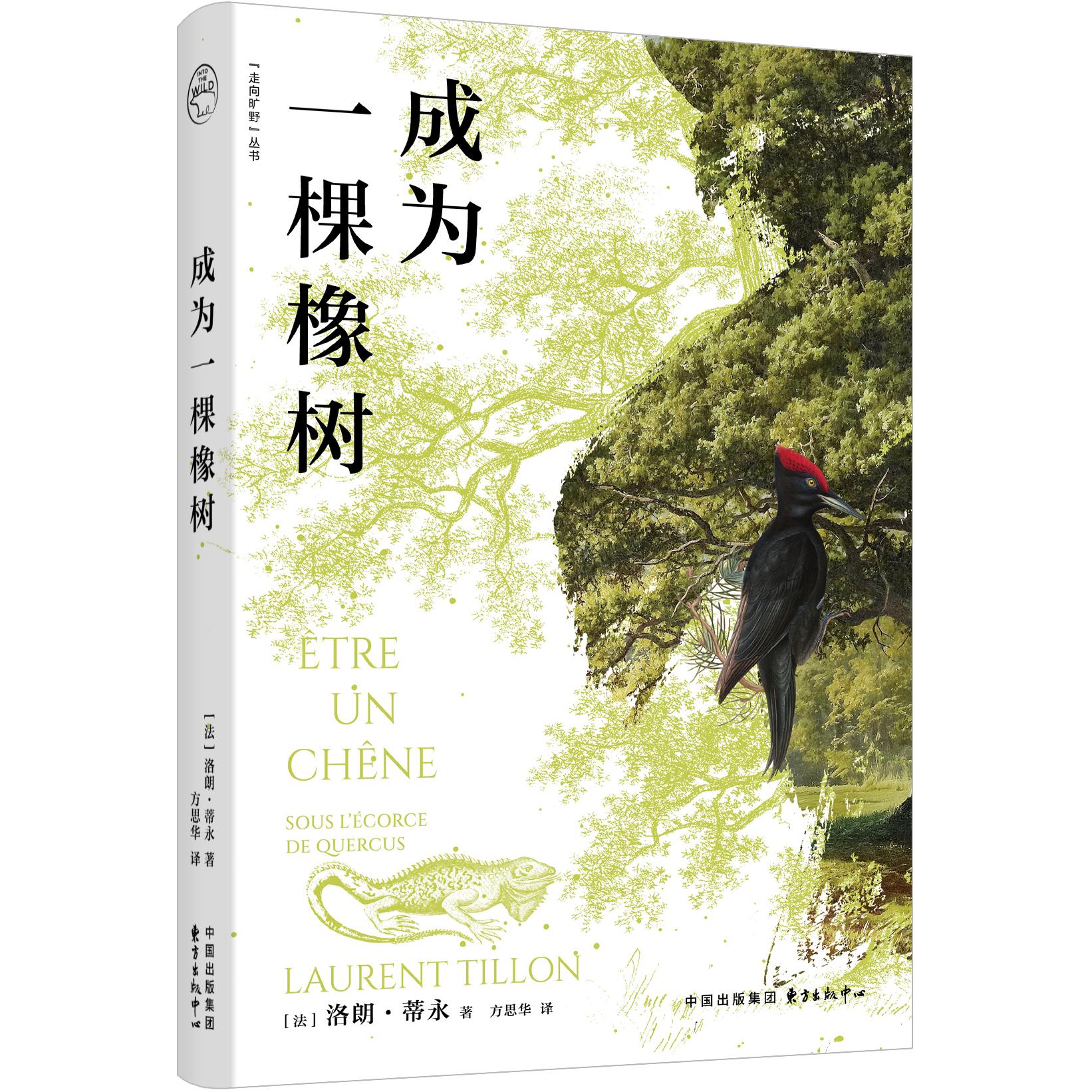 【可开票全新正版】成为一棵橡树 从一棵树的生命视角回溯百年历史变迁 生物学家与他的“伴侣之树”东方出版中心9787547329160202