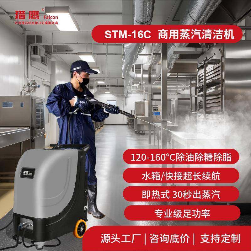 STM-16C蒸汽清洗机工业级电加热食品制药高温杀菌消毒除异味