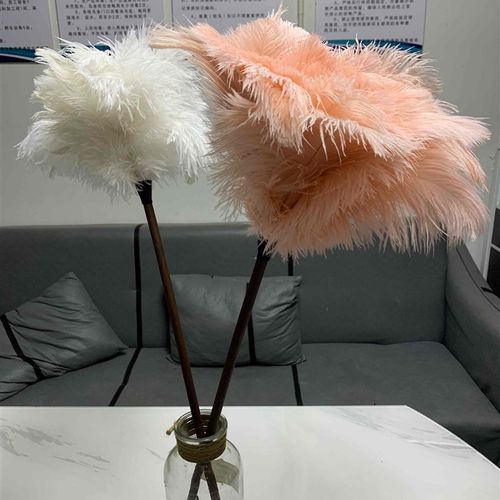 肉粉鸵鸟毛撢子胡桃木柄鸡毛撢子静电除尘掸家用扫车桌面装饰掸