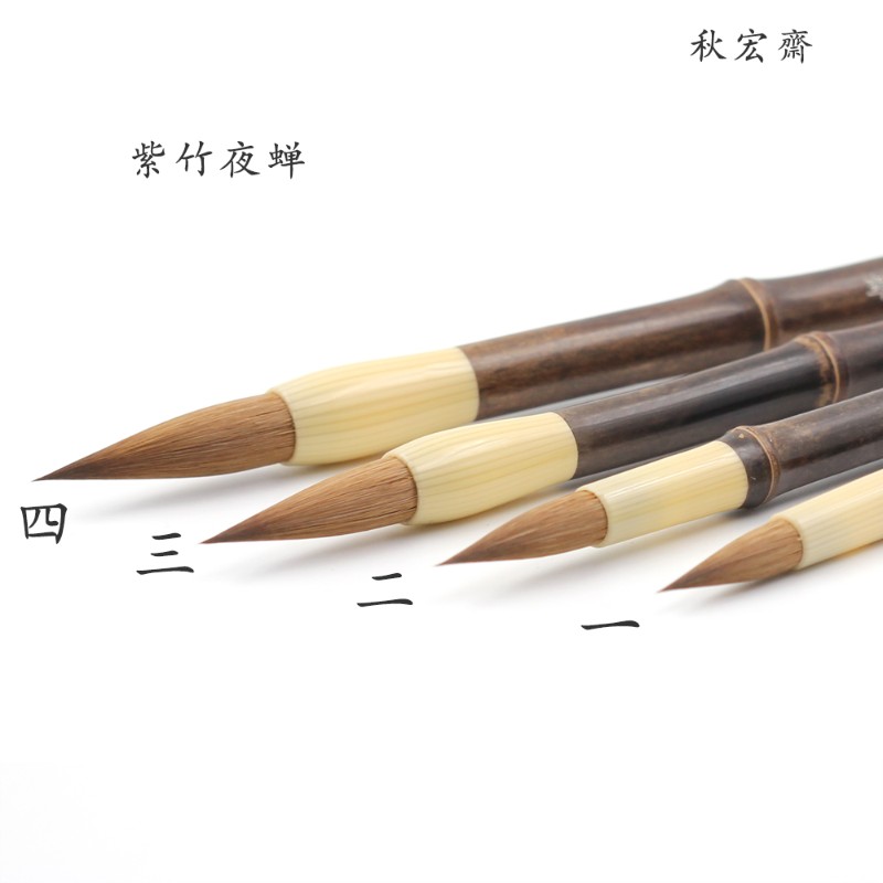秋宏齋夜蝉狼毫学生毛笔勾线细节渲染上色花牛角四季夜蝉水彩画笔