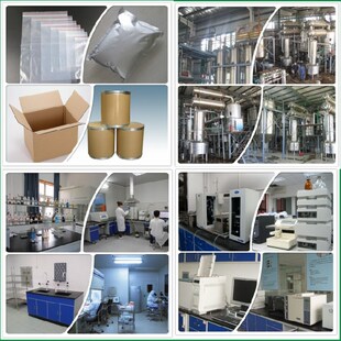 纯品黄连提取物 黄连素提取粉 王连粉萃取精华粉 送量勺