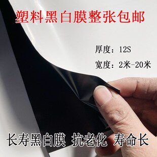 大棚膜抗老化长寿黑白膜加厚塑料布隔热反光塑料膜家禽养殖保温