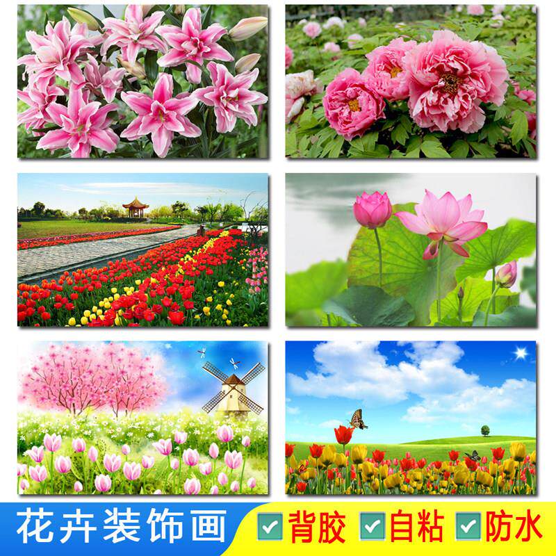玫瑰百合郁金香牡丹兰花向日葵杜鹃鲜花朵荷花卉风景大海报墙贴画