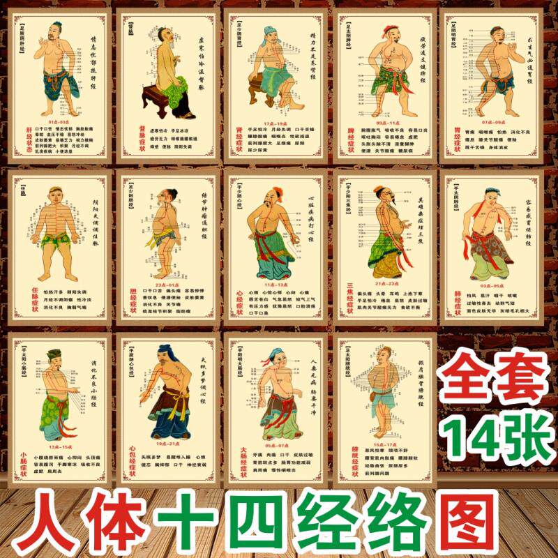 中医人体十四经络穴位示意经络人体经穴14条经脉十二经络走向图